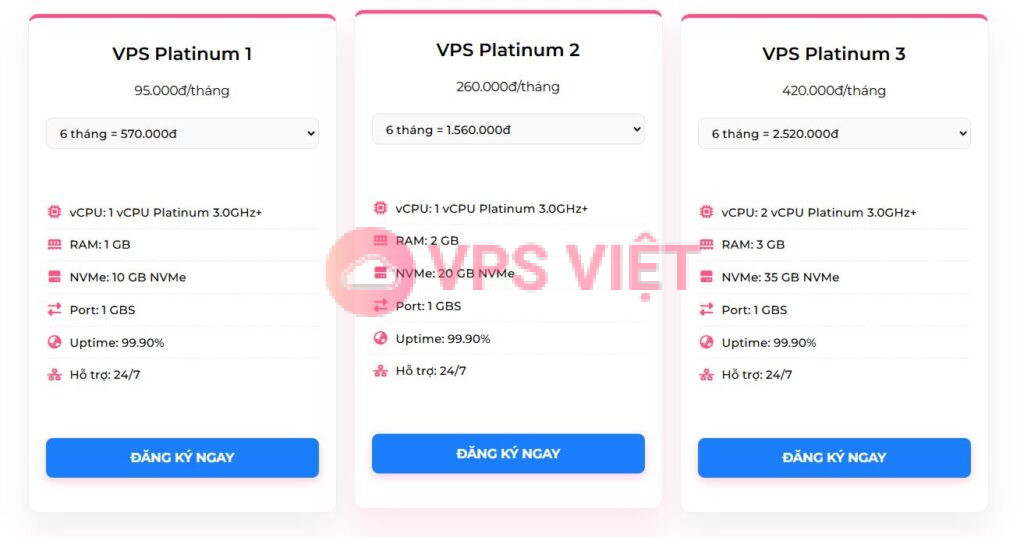 VPS Platinum